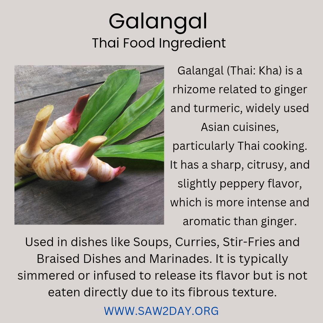 galangal thai food ingredients