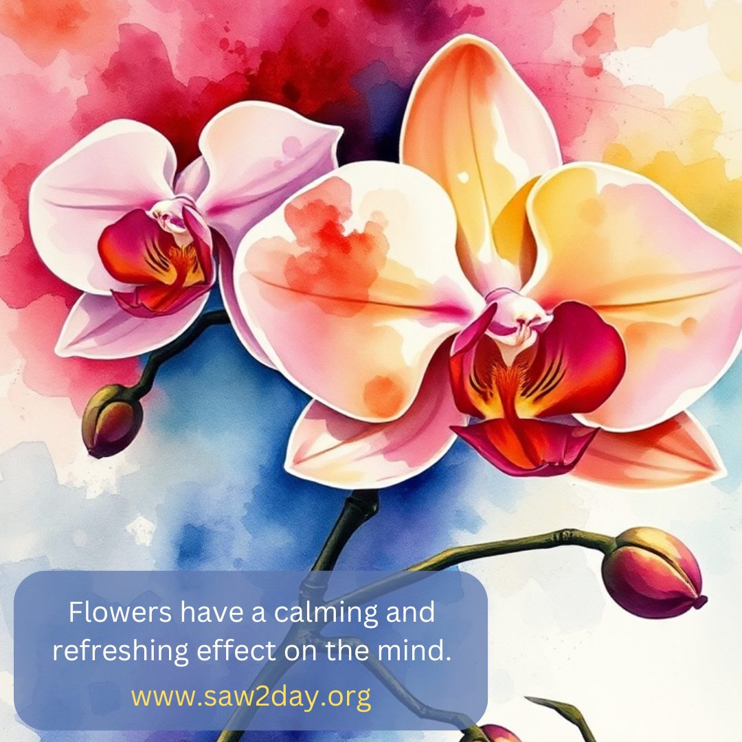 flowers help relaxation and soothe the mind